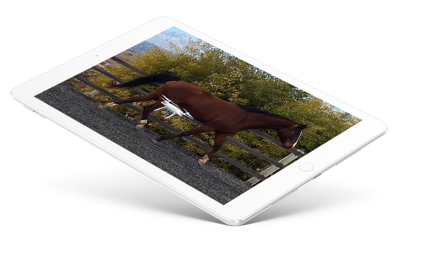 Equine Research and Education Tablet